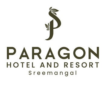 Paragon Hotel & Resort logo